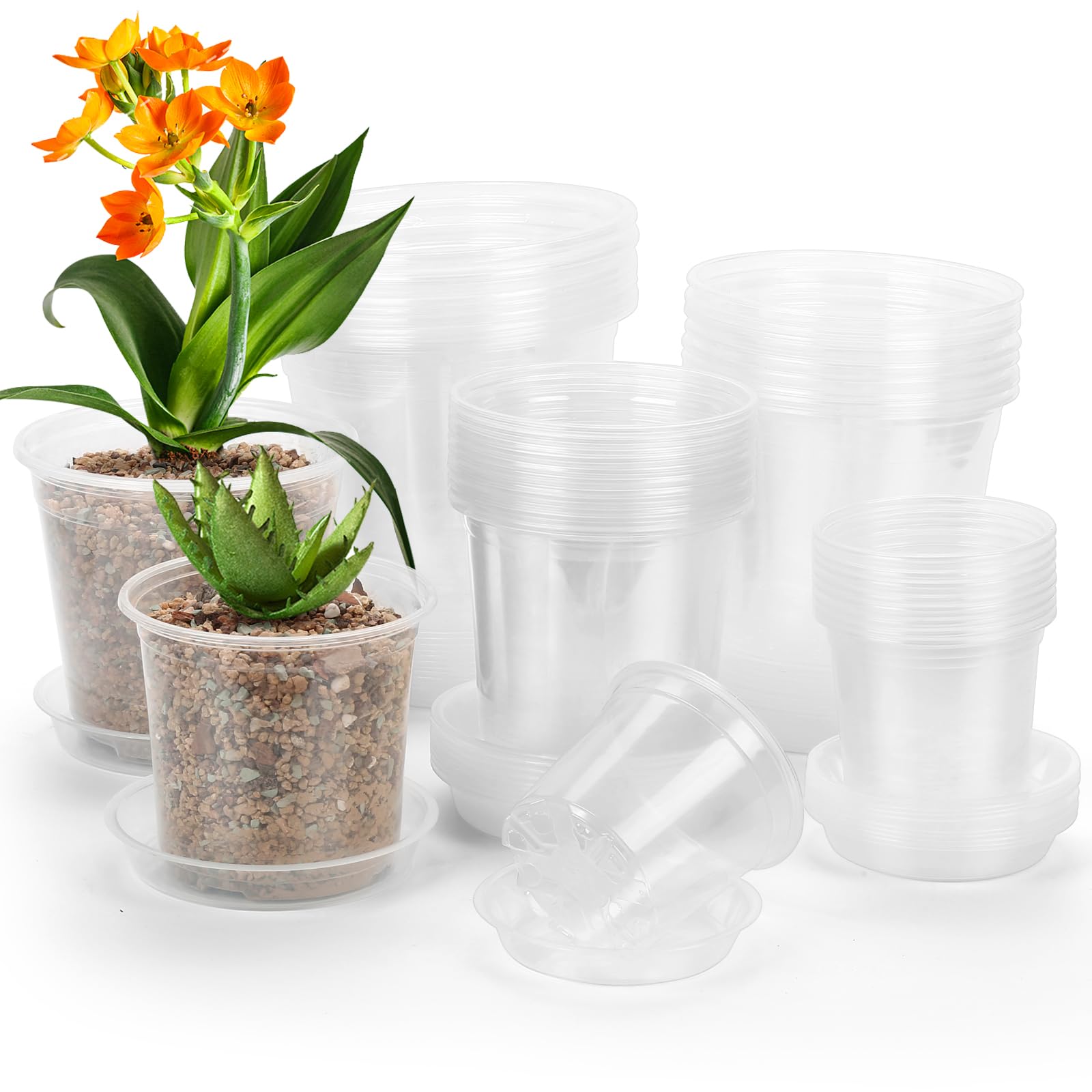 DUNPUTE clear nursery pot 4-inch with saucer, ideal for seedlings and drainage.