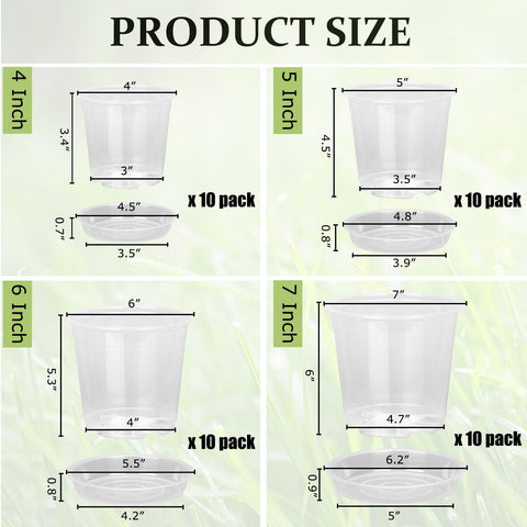 DUNPUTE clear nursery pot 5-inch with saucer, easy root observation for healthy growth.