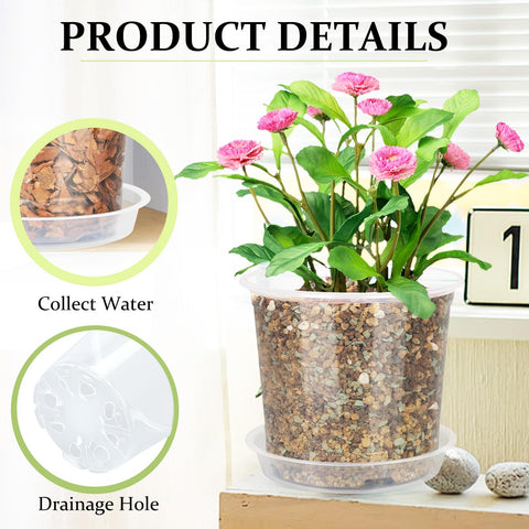 DUNPUTE clear nursery pot 6-inch with saucer, versatile for small herbs and flowers.