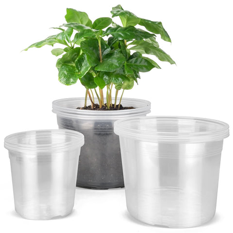 DUNPUTE clear nursery pot 6-inch for easy root monitoring and transplanting.