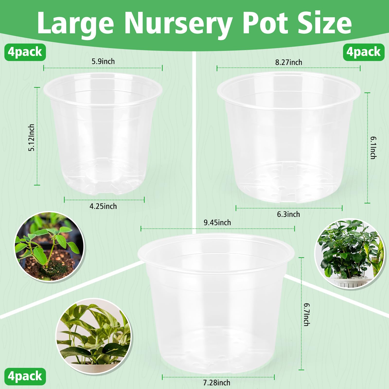 DUNPUTE clear nursery pot 8-inch with drainage for healthy growth.