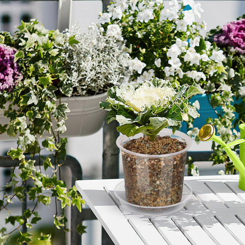 DUNPUTE clear nursery pot flexible-durability closeup, durable plastic resists cracking.