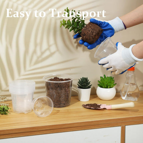 DUNPUTE clear nursery pot indoor-balcony setup, ideal for compact gardening spaces.