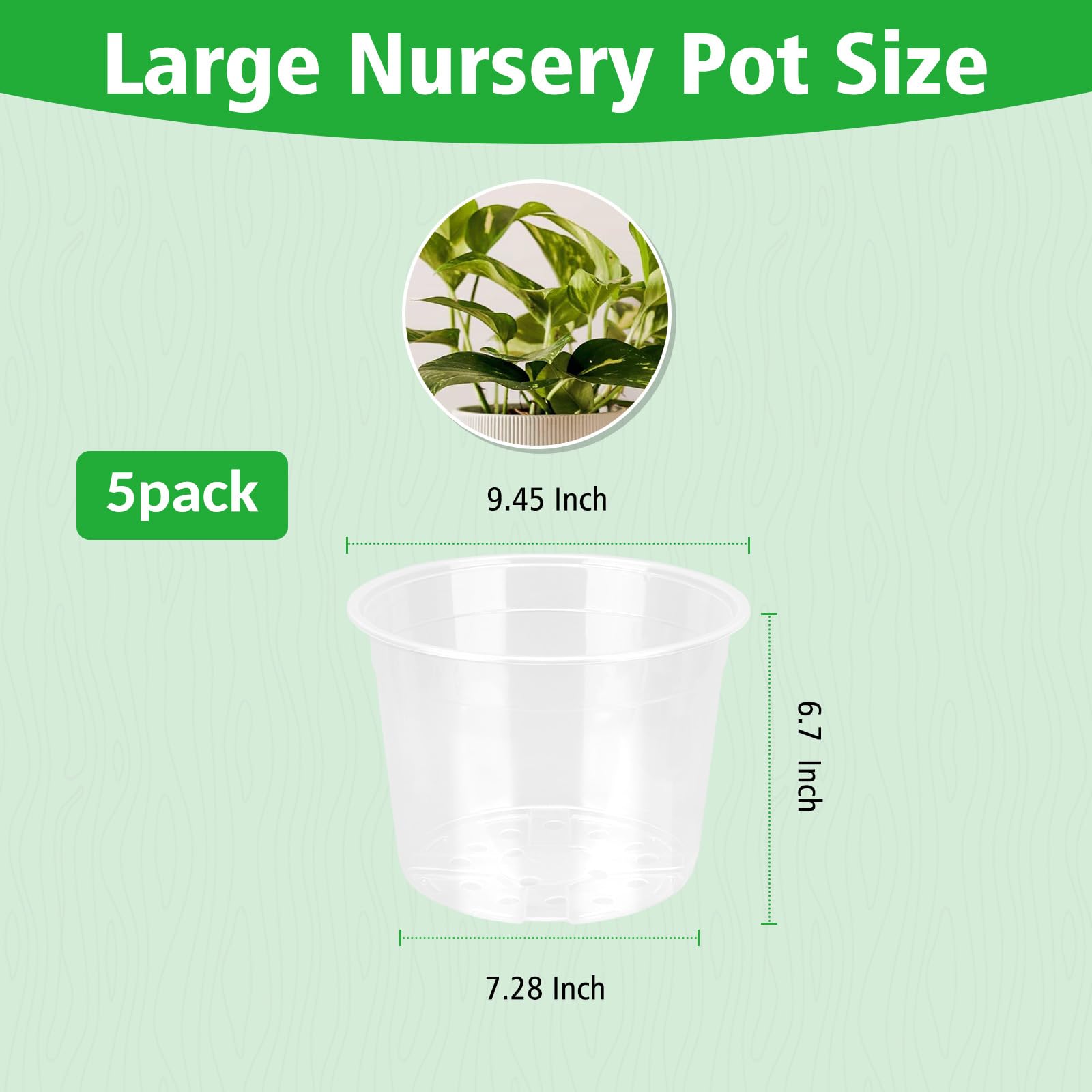 DUNPUTE transparent plastic nursery pot shows root growth clearly.