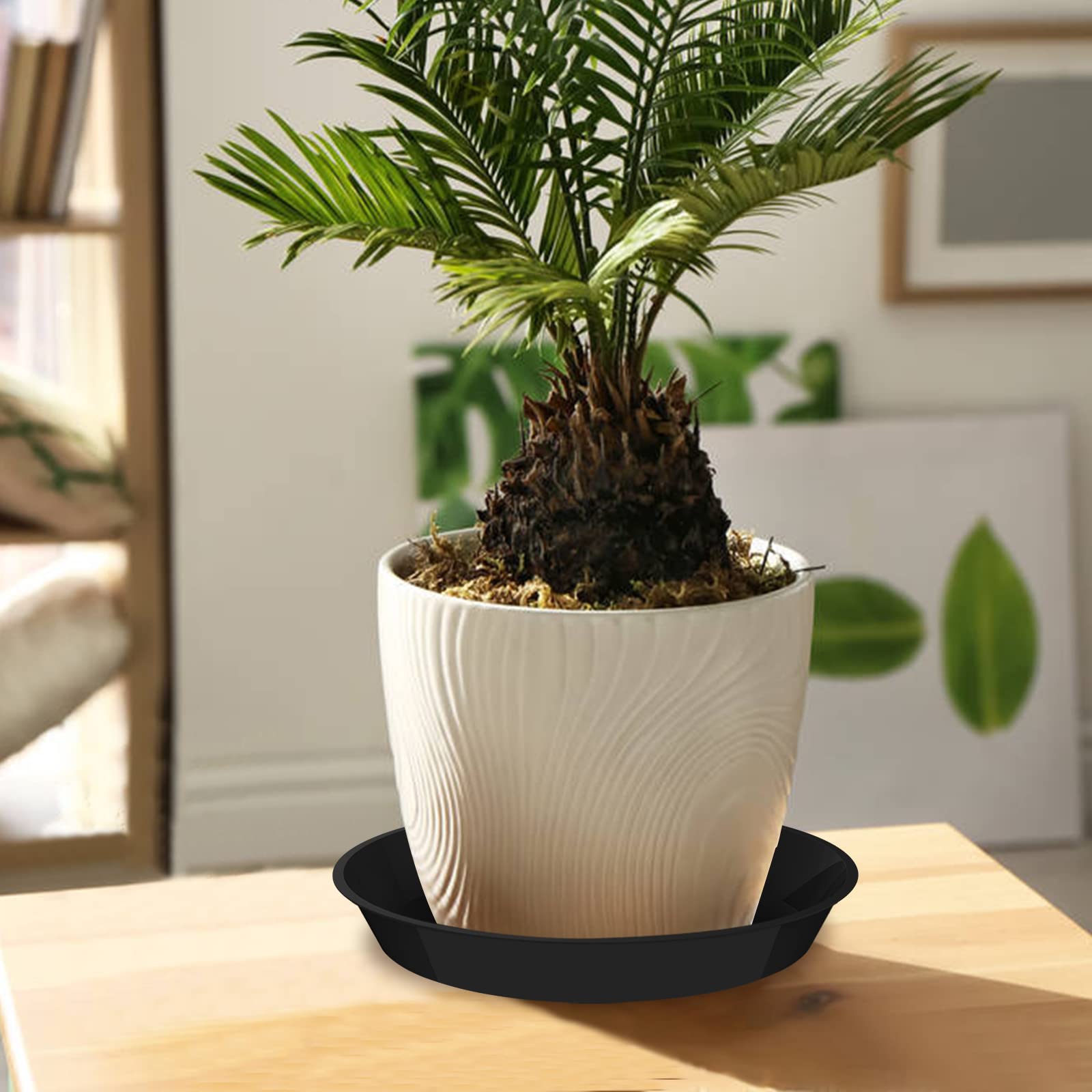 DUNPUTE indoor-outdoor use suits balcony and living room spaces.