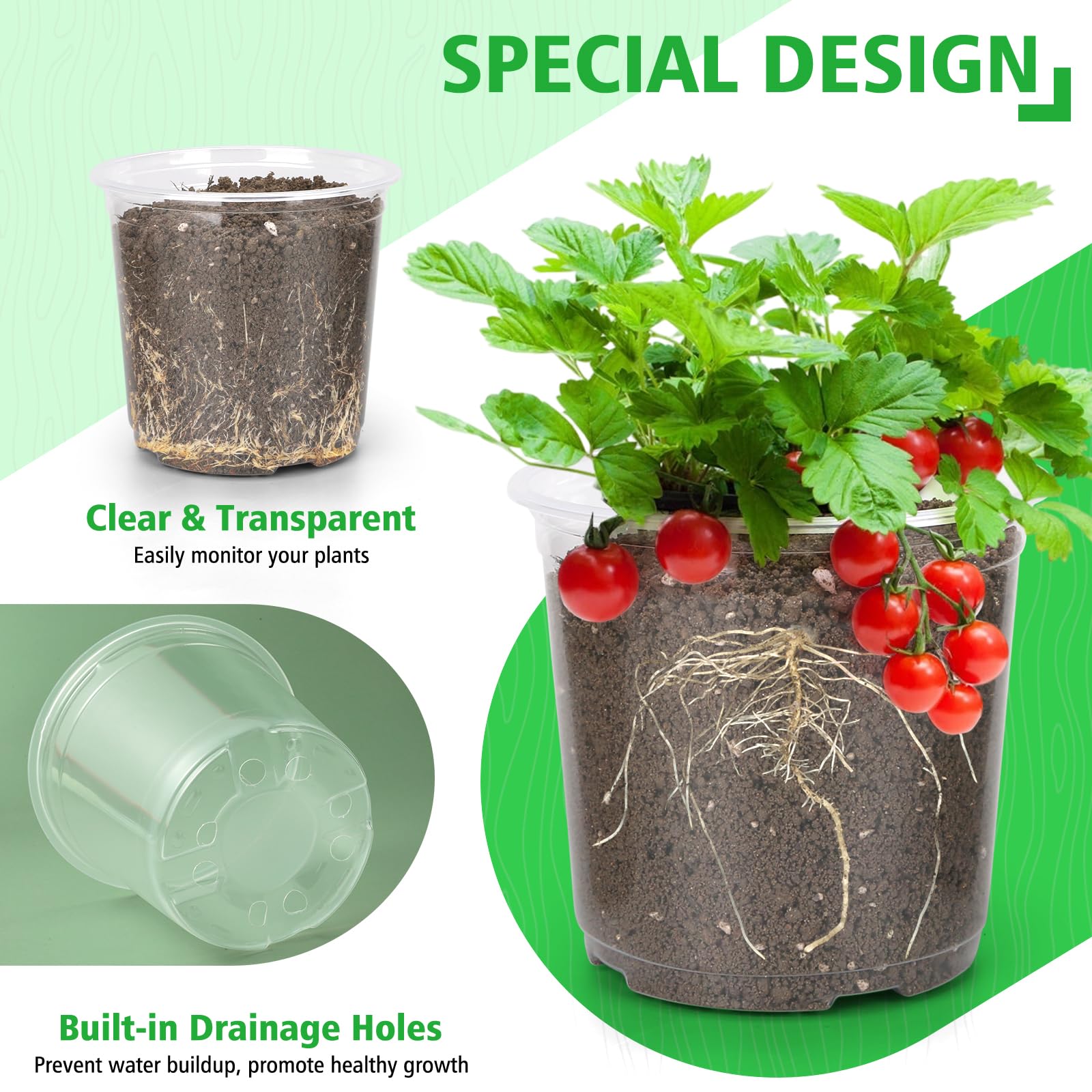 DUNPUTE large-capacity plastic pot suitable for bigger seedlings.