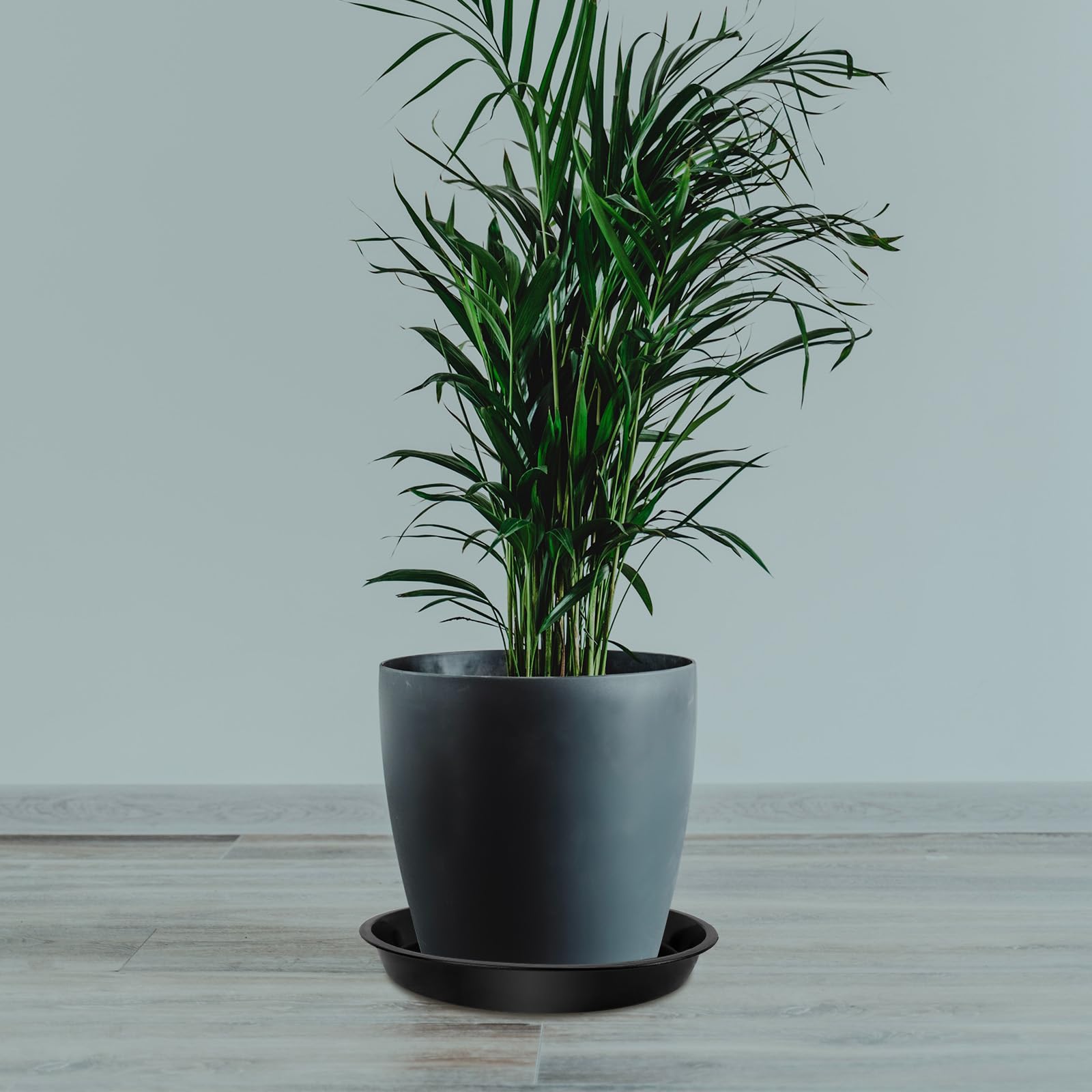 DUNPUTE plant saucer 12-inch versatile tray for big planters and clean spaces.