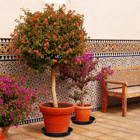 DUNPUTE BPA-free plant saucer safe for indoor gardening and odor-free.