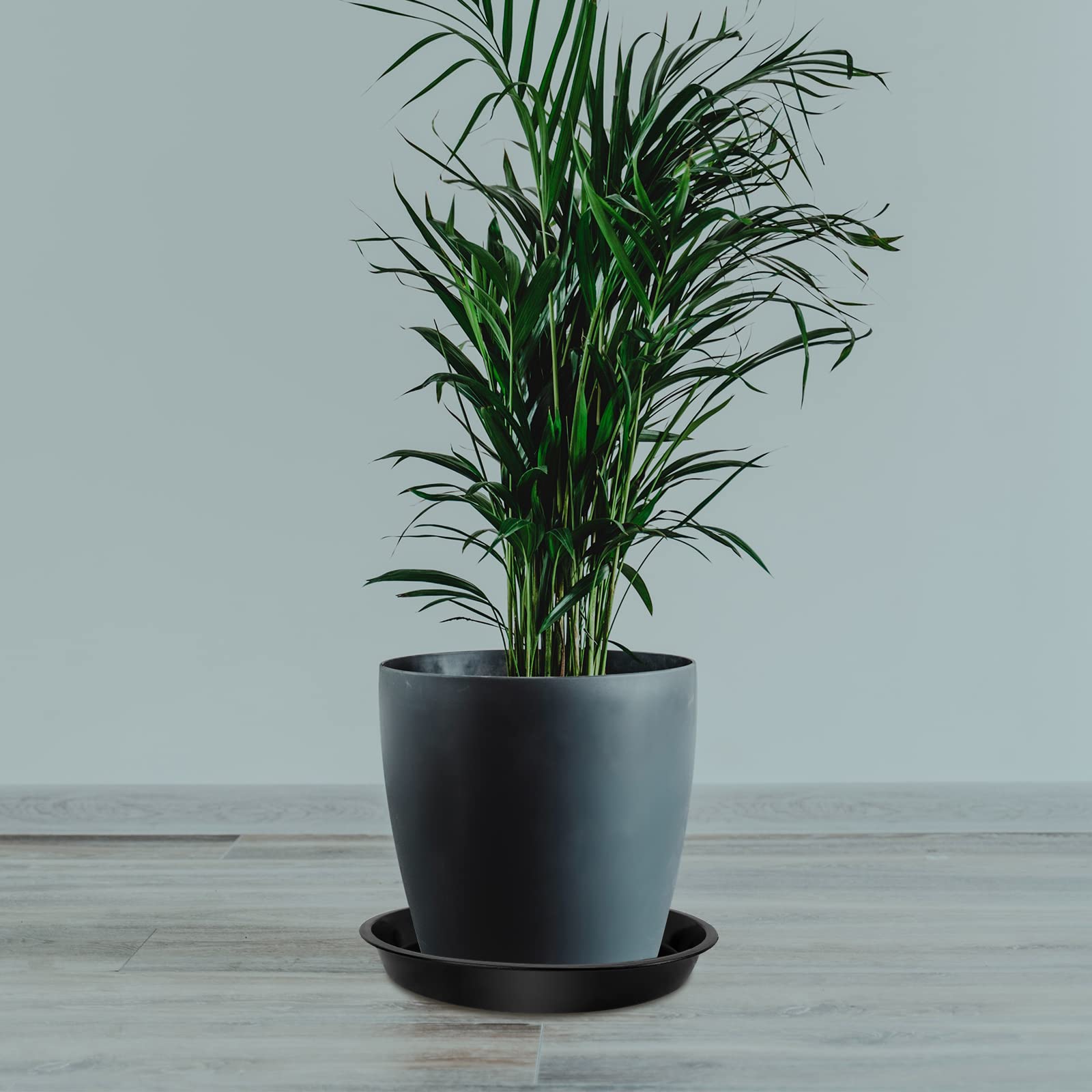 DUNPUTE plant saucer indoors with pot on living room shelf.