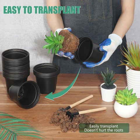 DUNPUTE seedling transplant pot ideal for indoor starts and outdoor transplanting.
