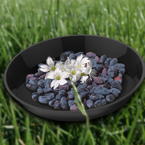 DUNPUTE sturdy PP material close-up highlighting durability for heavy pots.