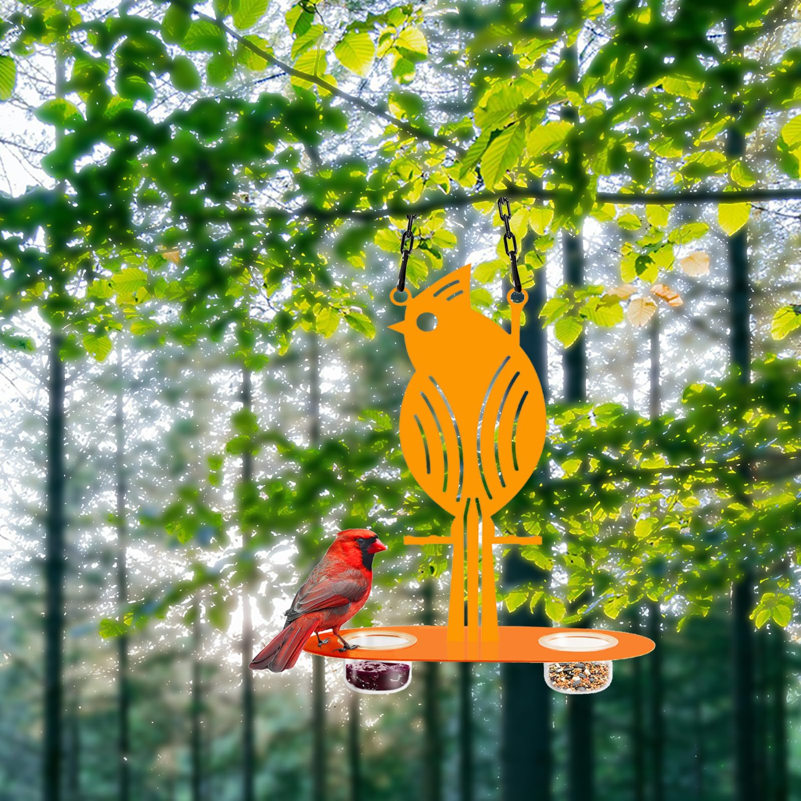DUOYOUNG Chain-hanging setup stays steady from branches.