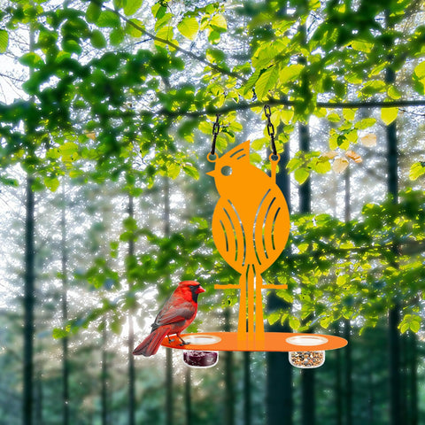 DUOYOUNG Chain-hanging setup stays steady from branches.