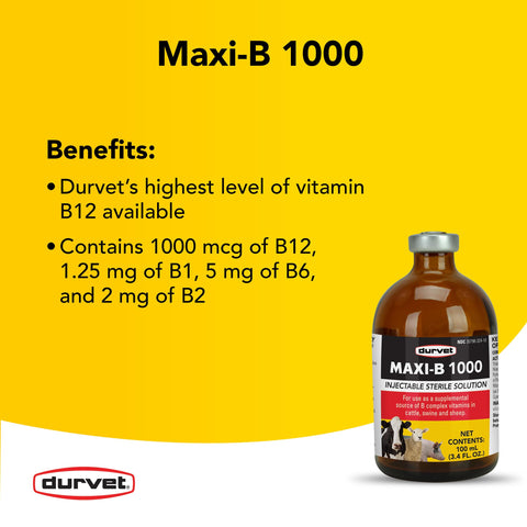 Durvet Maxi-B 1000 with a dog demonstrates possible comfort support.