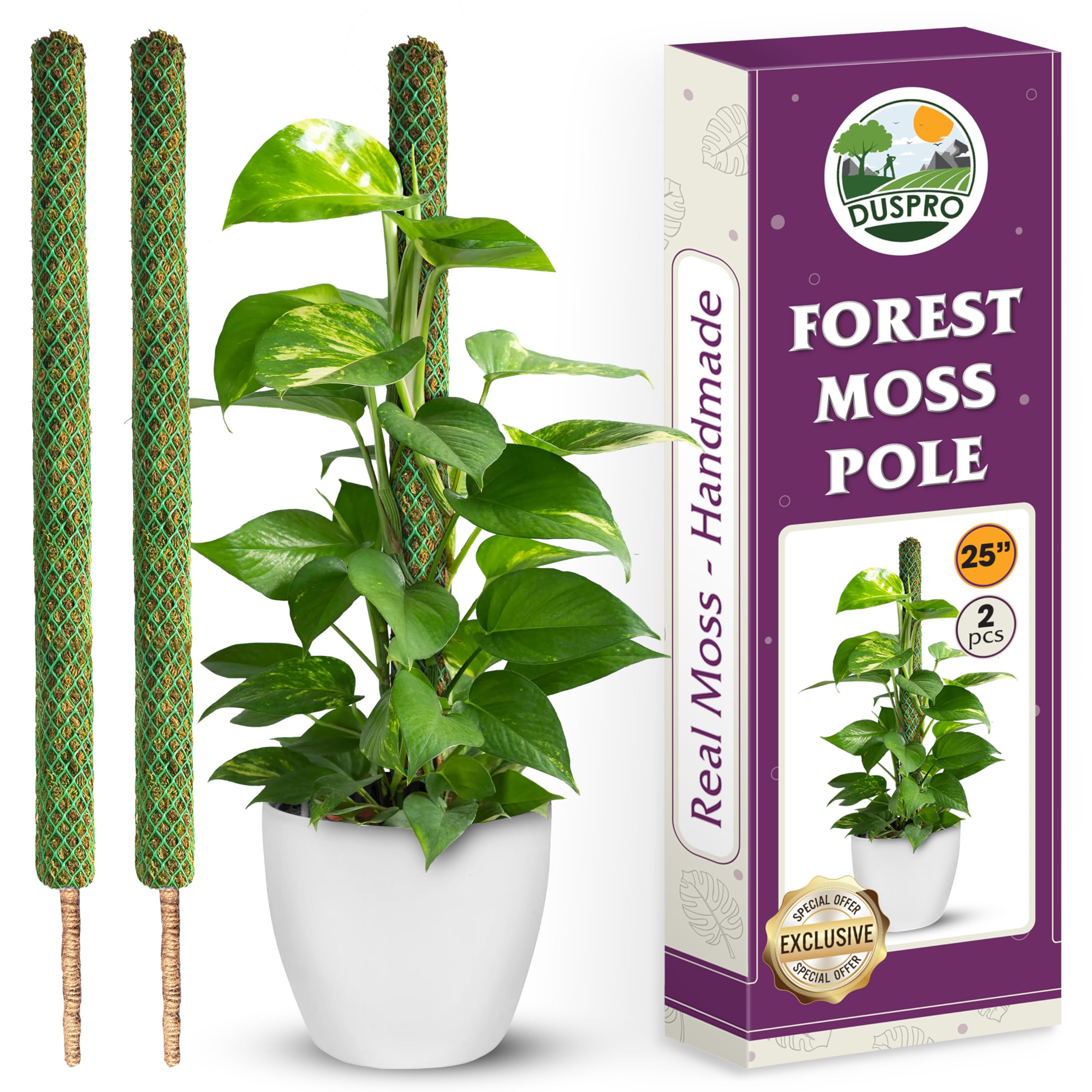 Duspro 2-pack 25-inch mesh moss poles ready for climbing plant displays