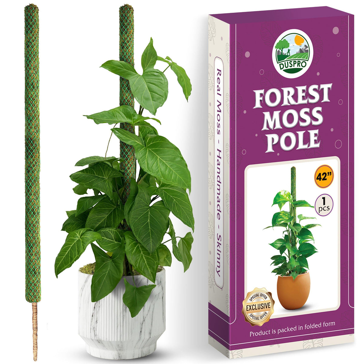Duspro 42-inch mesh moss pole supporting climbing plants with moisture-rich moss