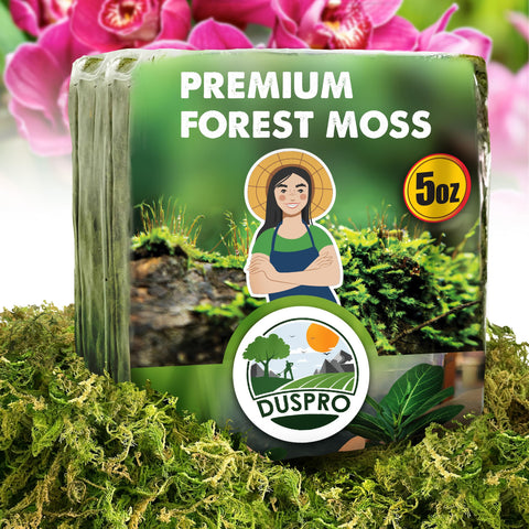 Duspro 5oz dried moss pack for compact hydration-ready soil cover