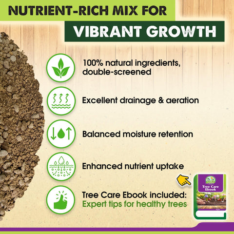 Duspro bonsai soil promotes moisture retention for steady watering.