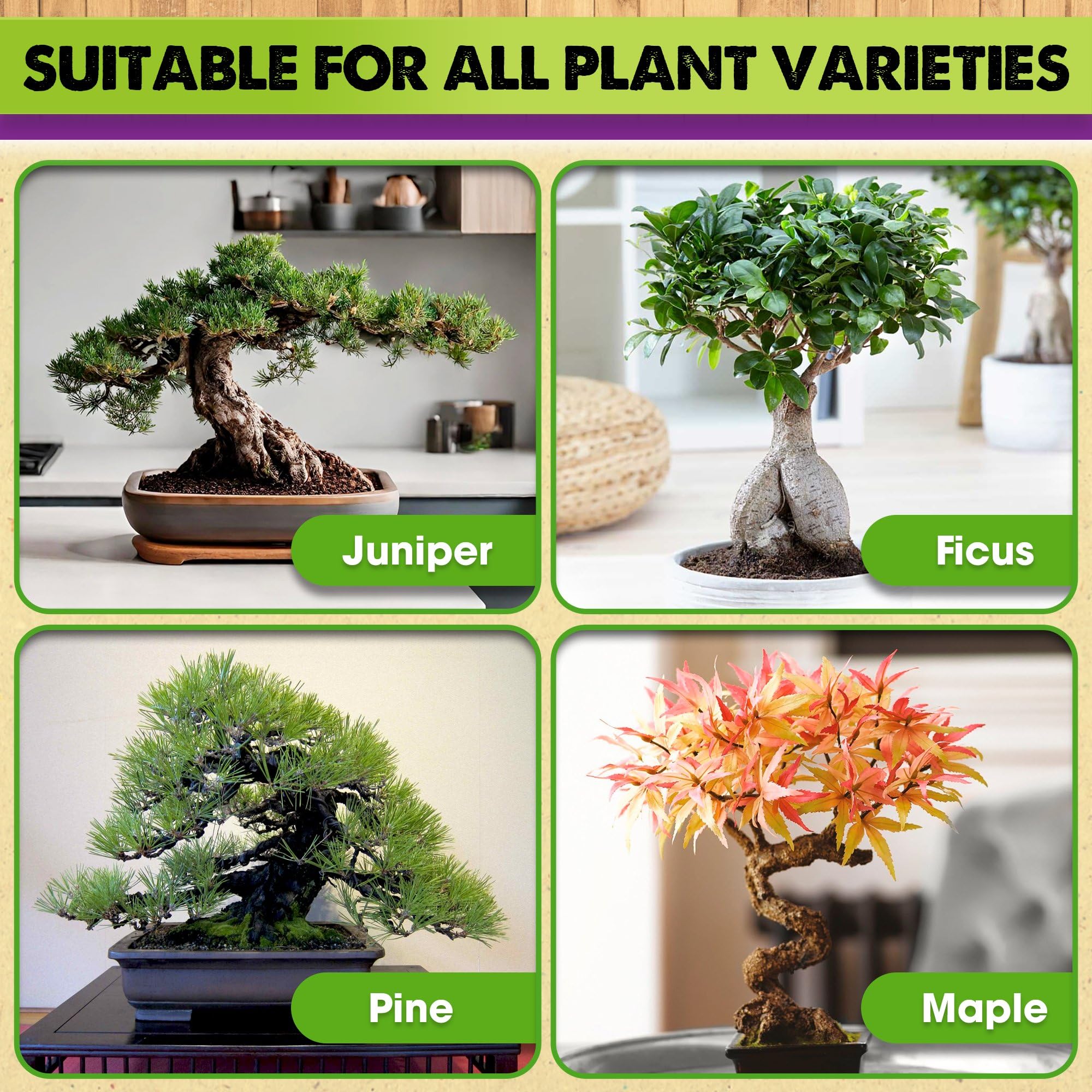 Duspro nutrient-rich formula supports vibrant foliage in bonsai trees.