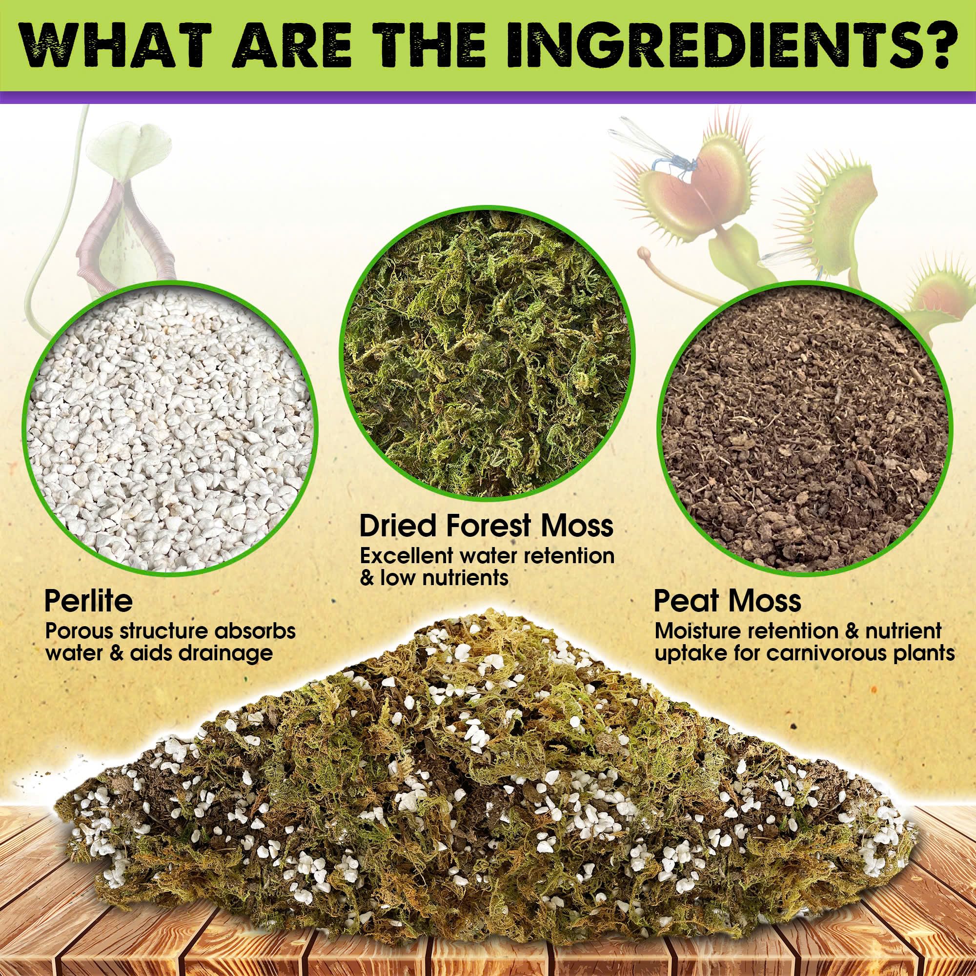 Duspro forest moss blend supports moisture balance in terrarium setups.
