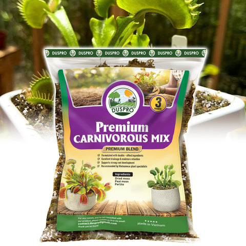 Duspro forest moss soil mix enhances drainage for carnivorous plants