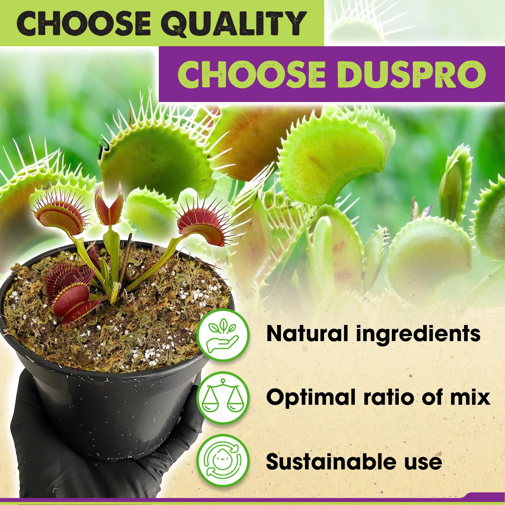 Duspro peat moss detail provides moisture retention for carnivorous plants.