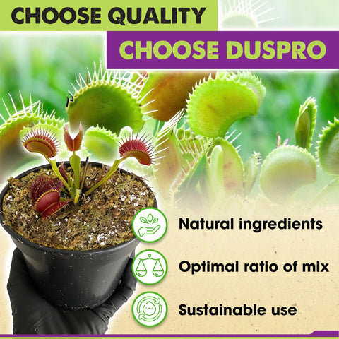 Duspro peat moss detail provides moisture retention for carnivorous plants.