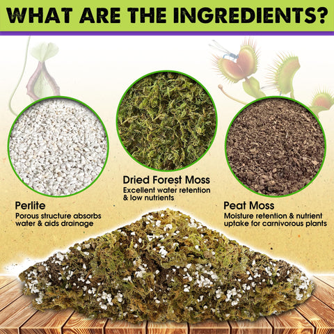 Duspro peat moss soil mix boosts moisture retention for bog plants