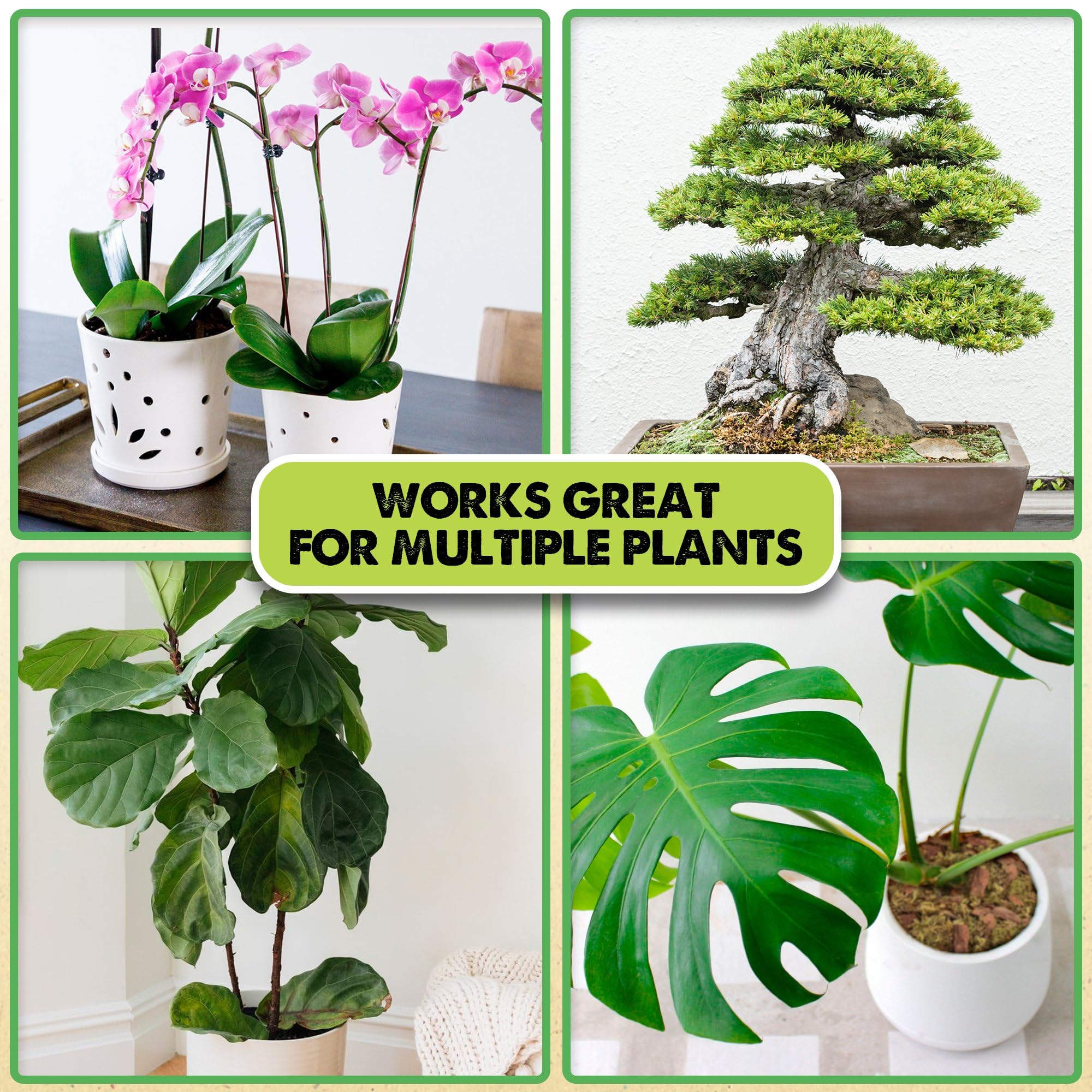 Duspro craft horticulture bark showcases decorative options for craft projects using natural material.