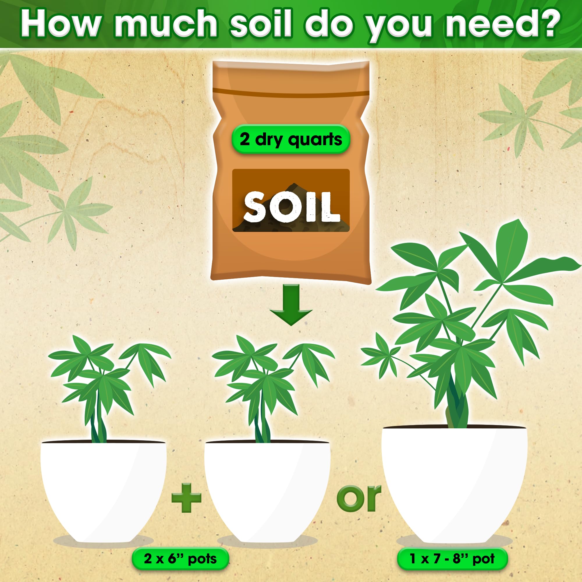 Soil moisture balance shown by balanced depth and texture