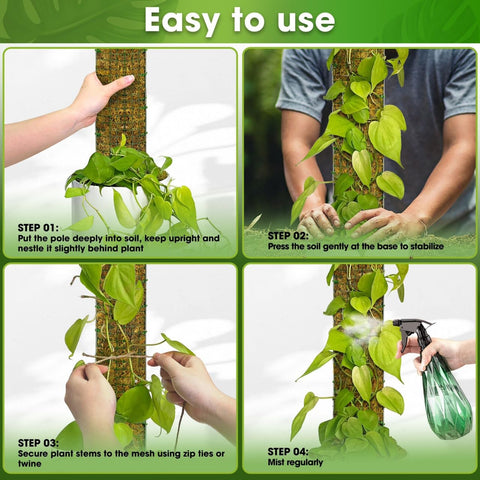 Duspro D-Shape pole supports tall plants like Monstera and Philodendron.