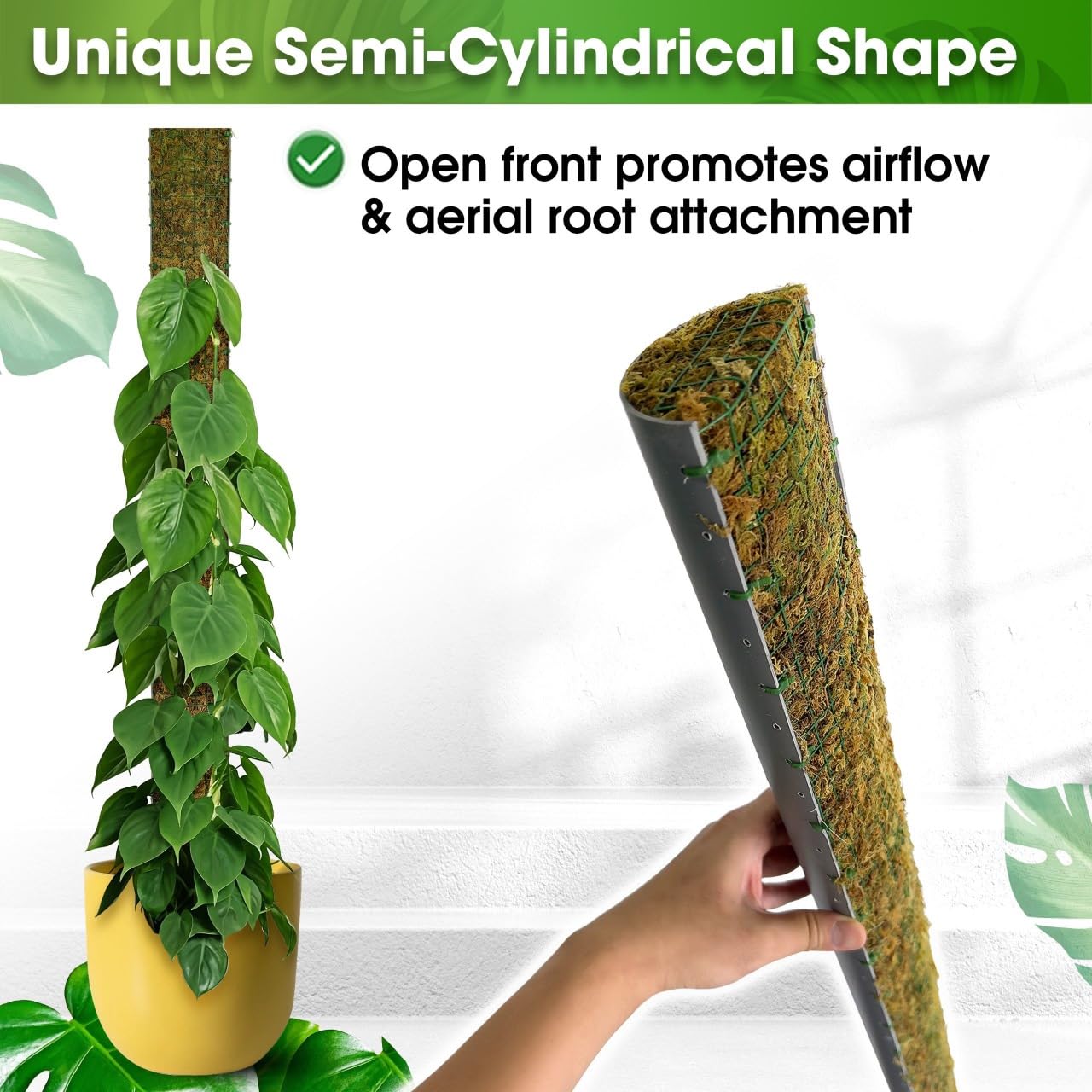Duspro Moss Pole with wire-mesh surface aids robust aerial root clinging.