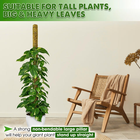Duspro forest moss finish blends with greenery while maintaining moisture for air roots