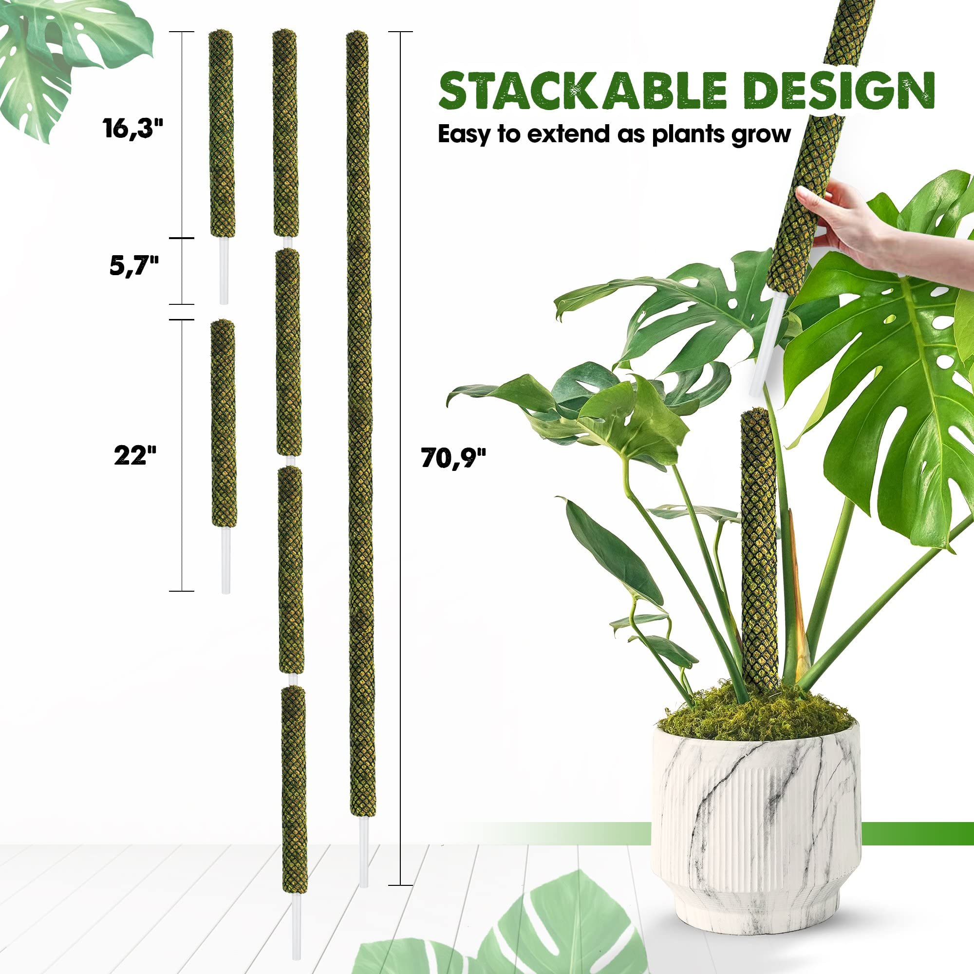 Duspro forest moss provides natural moisture retention and aesthetic appeal