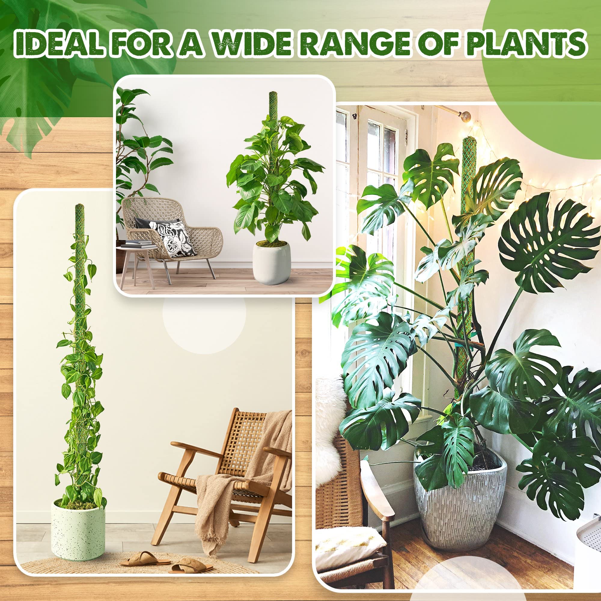 Duspro four-pack delivers 71-inch extendable support for diverse indoor plants.
