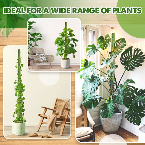 Duspro four-pack delivers 71-inch extendable support for diverse indoor plants.