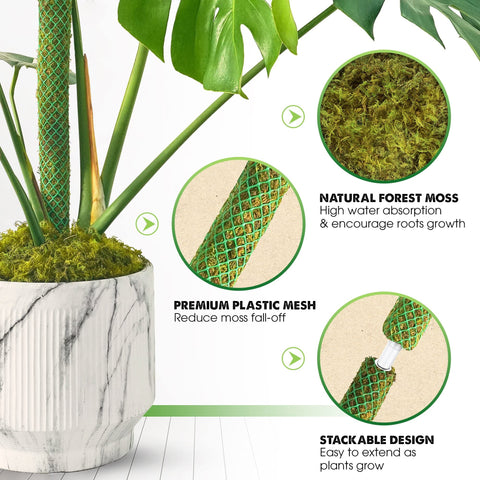Duspro green moss pole extended height demonstrating adjustable support up to 38 inches.