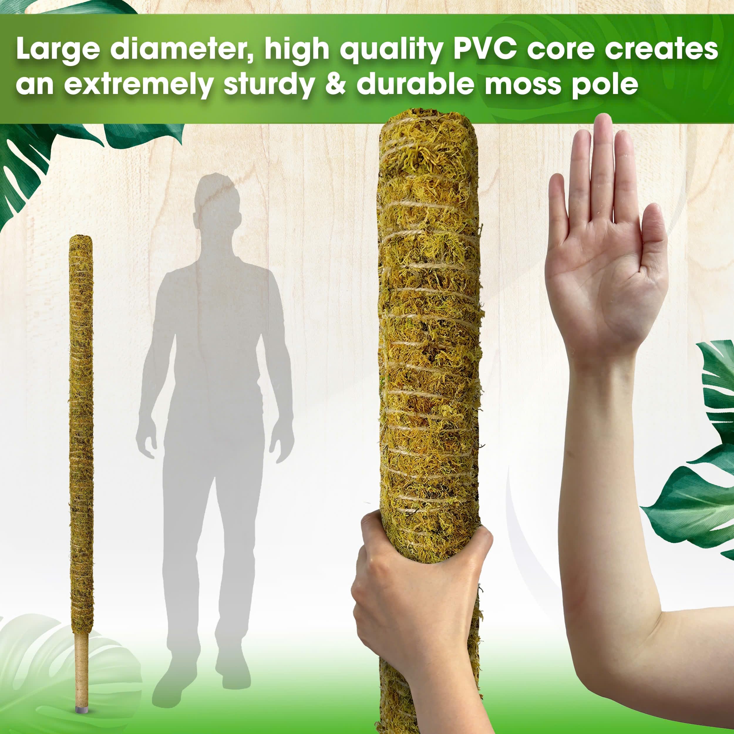 Duspro green moss pole finish blends with foliage and supports climbing plants