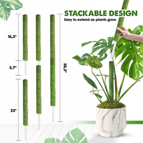 Duspro green moss pole with forest moss color blending with plant foliage for a natural look.