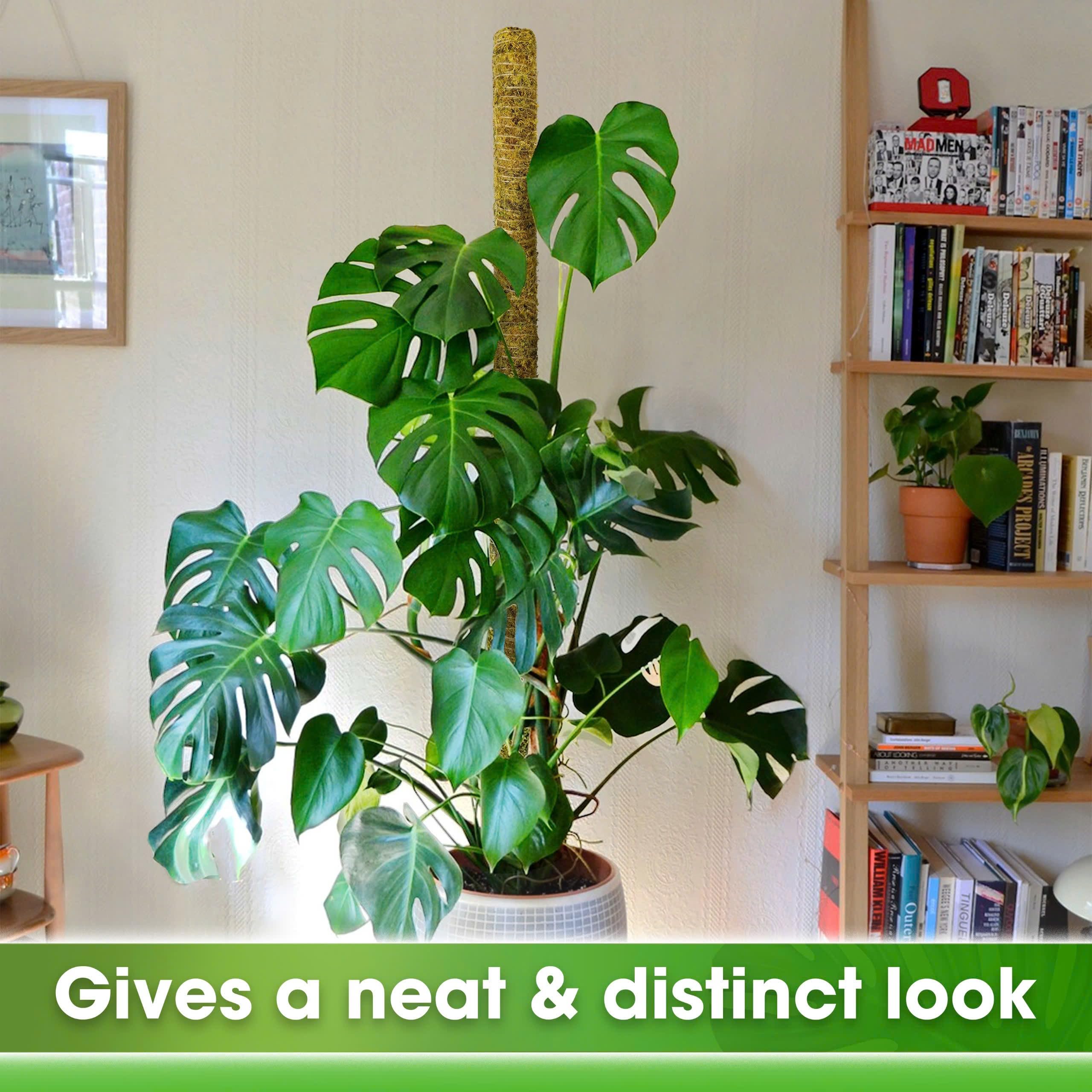 Duspro indoor outdoor moss pole suits large climbing plants in 14–20 inch pots