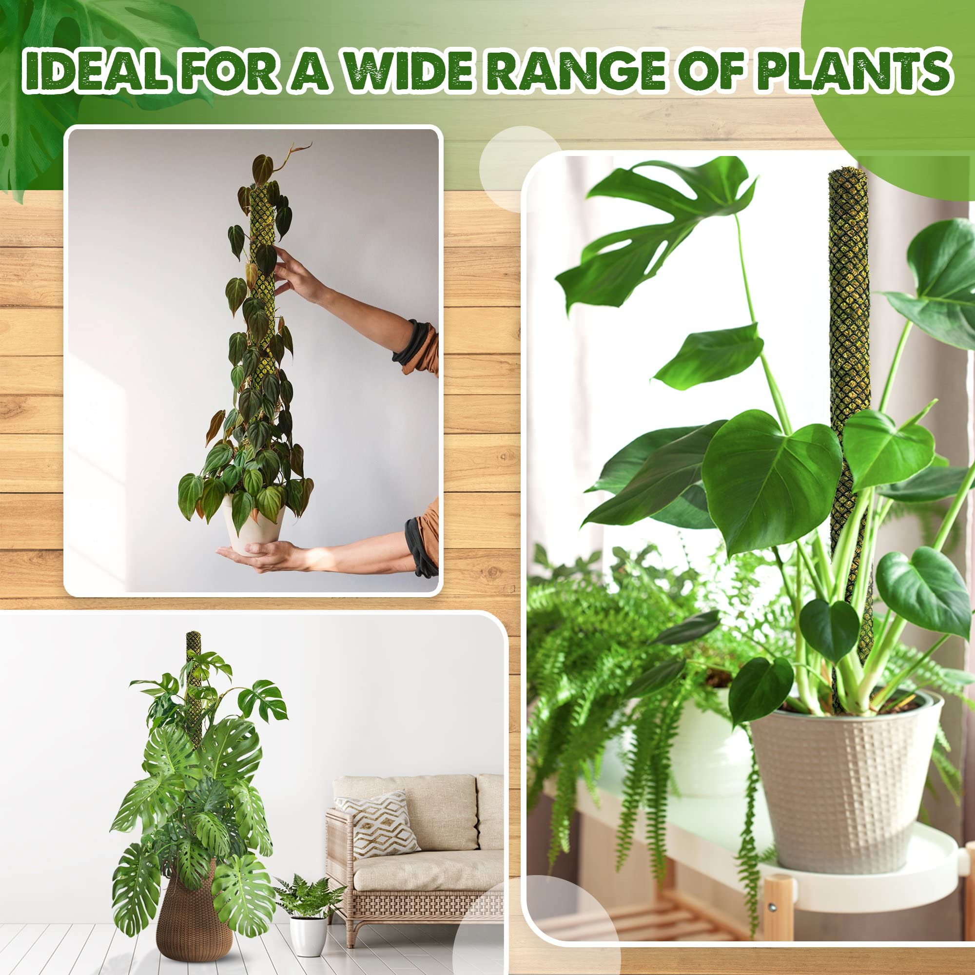Duspro indoor outdoor use moss pole shows versatile gardening and home setup.