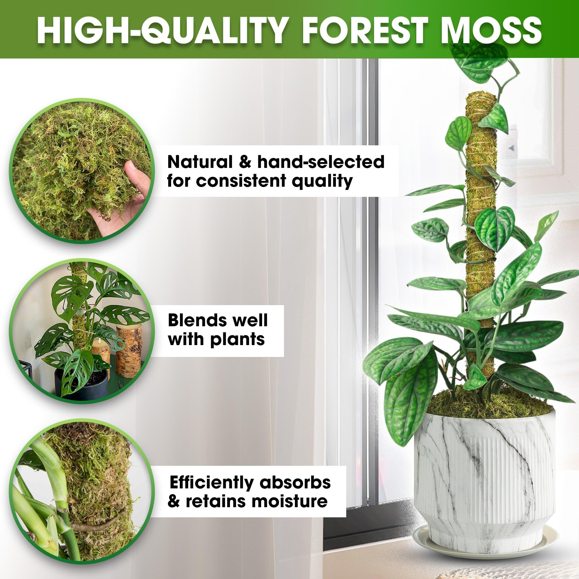 Duspro mesh moss pole assembly enables quick stacking for taller plants.