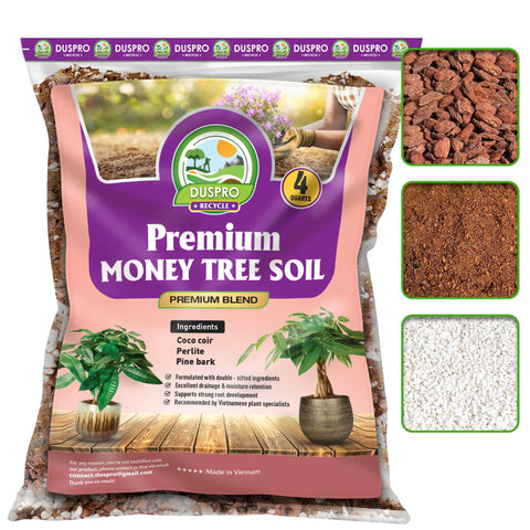 Duspro money tree soil bag front with premium blend for healthy growth