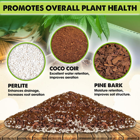 Duspro Money Tree soil mix coco coir close-up shows natural moisture retention.
