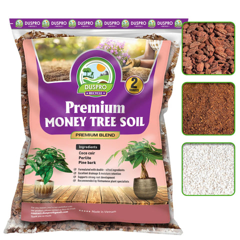 Duspro Money Tree soil mix bottle pour enables quick, mess-free potting and easy setup.