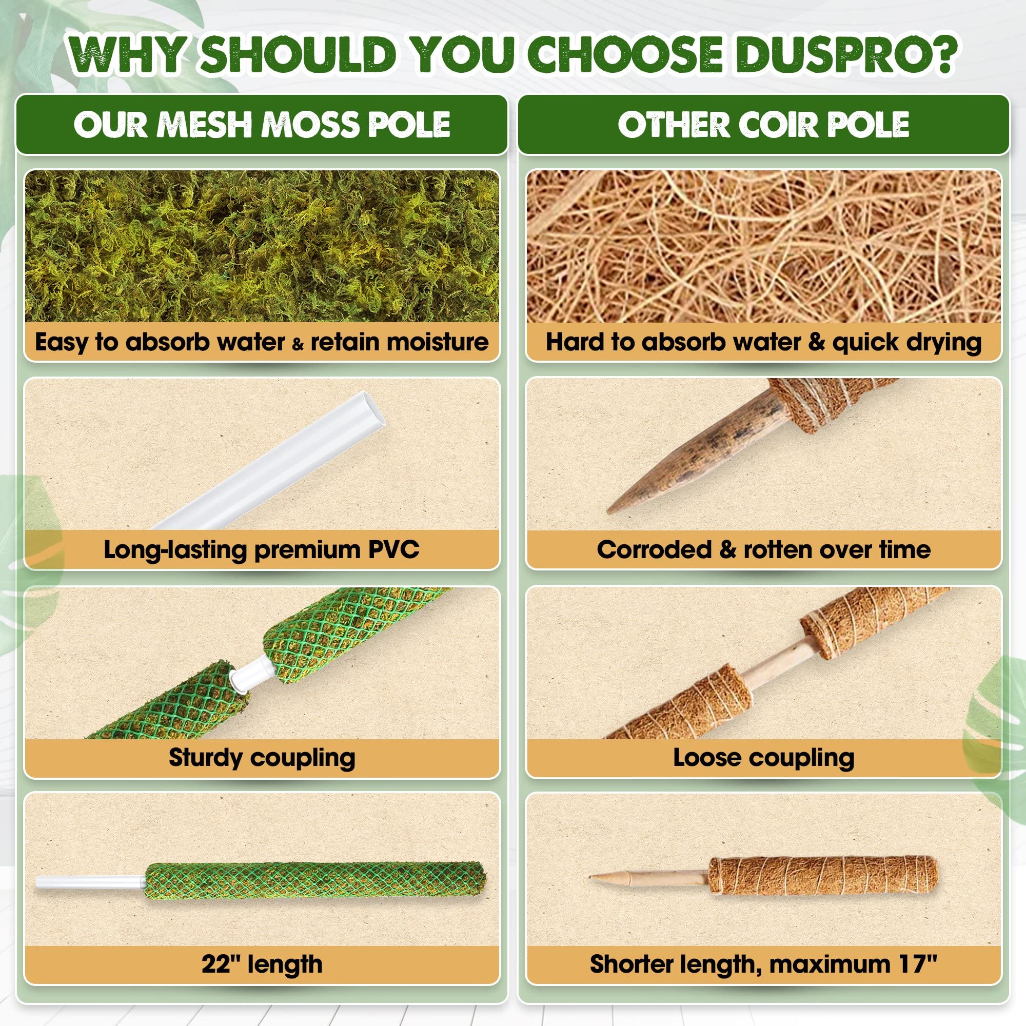 Duspro Monstera moss pole setup illustrating easy vertical training of climbing plants.