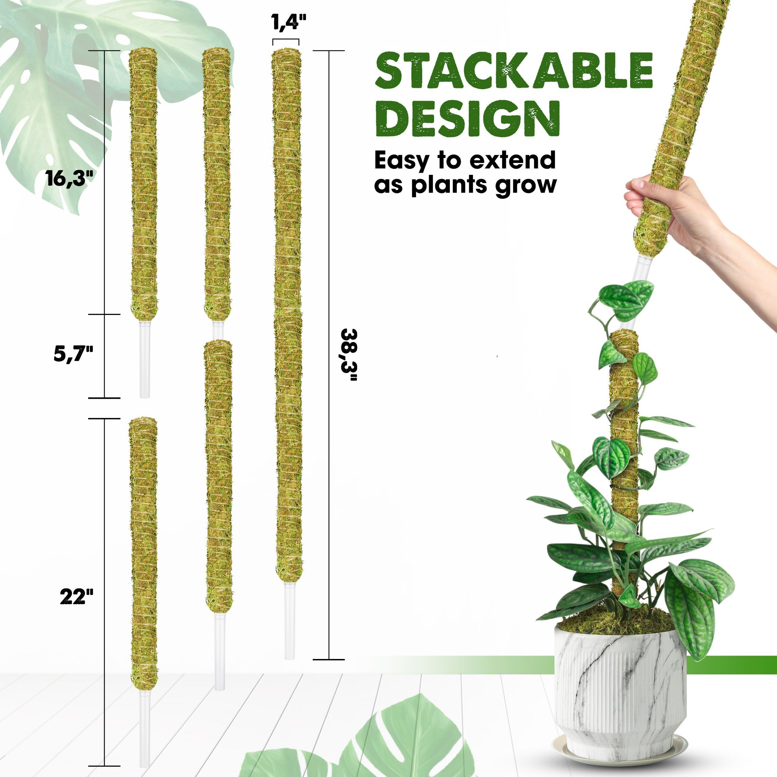 Duspro Monstera climbing stake with green moss for lush indoor aesthetics.