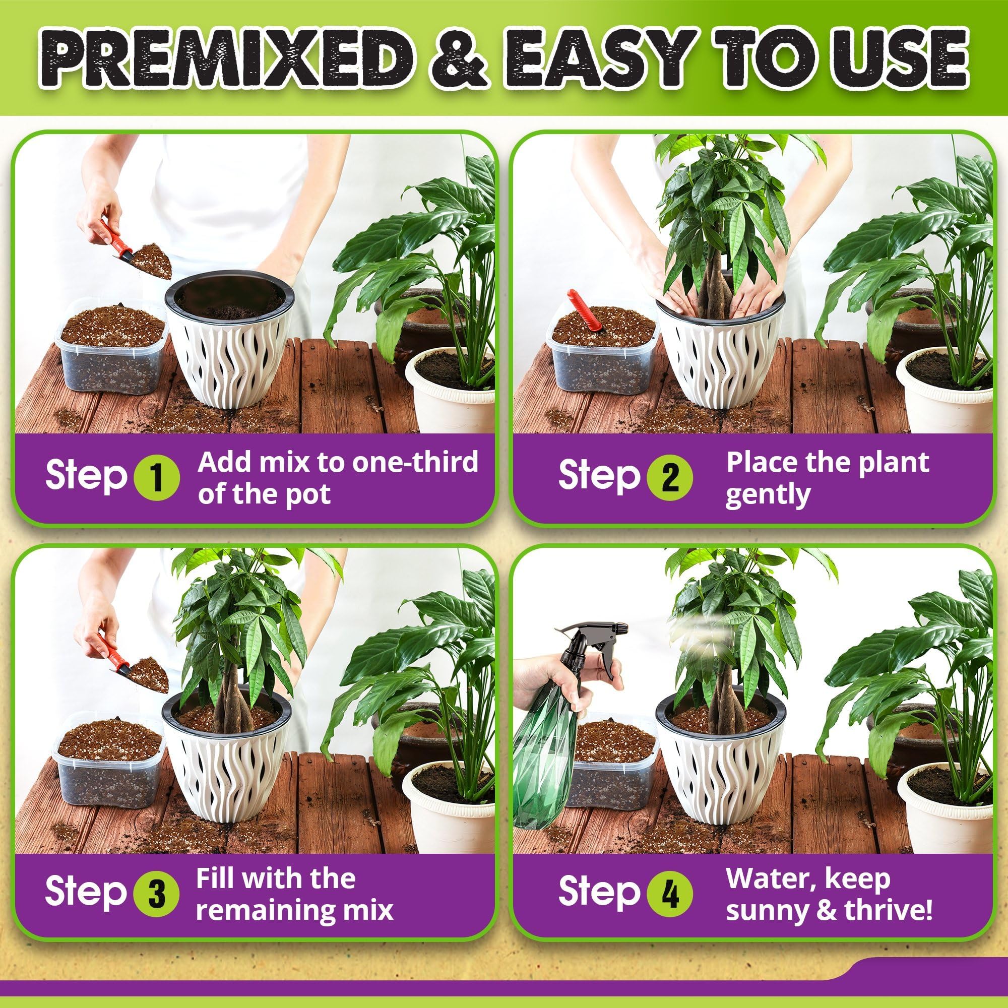 Monstera thriving using Duspro soil at home