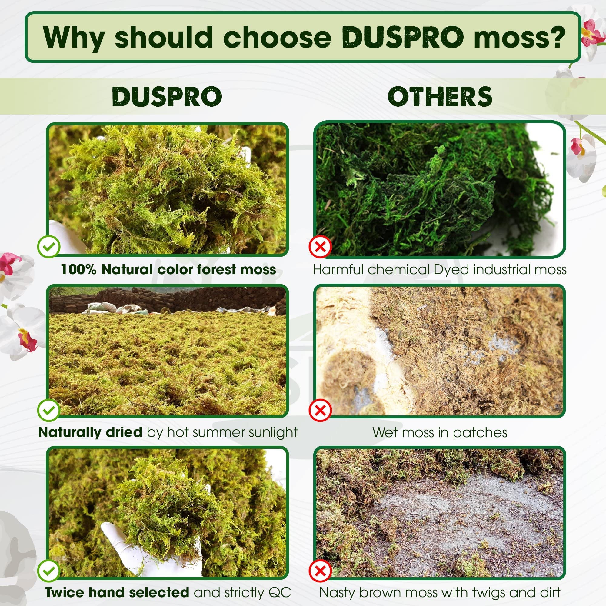 Duspro moss cover for indoor plants adds natural texture and color