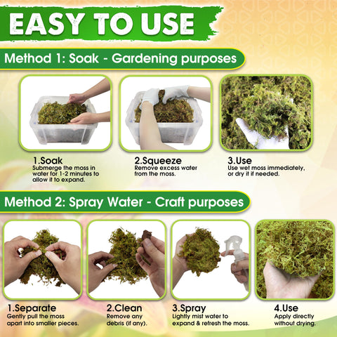 Duspro moss for DIY decor and kokedama projects